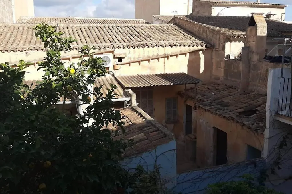 Apartmán Houpla Porto Cristo